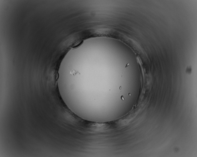 X0000102820428200809021255