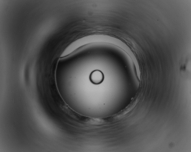X0000102820429200809021255