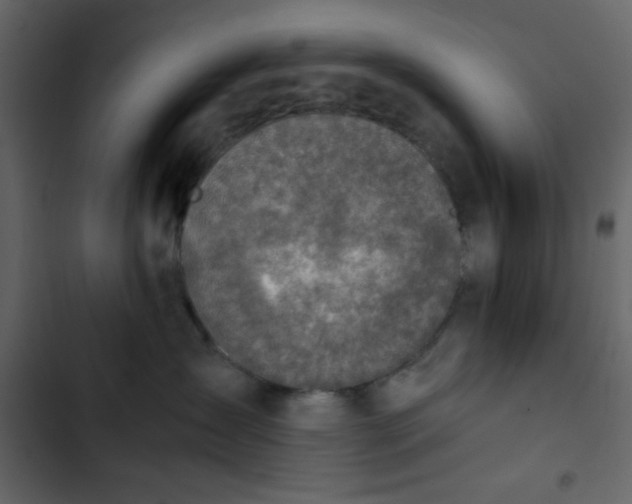 X0000102820431200809021255