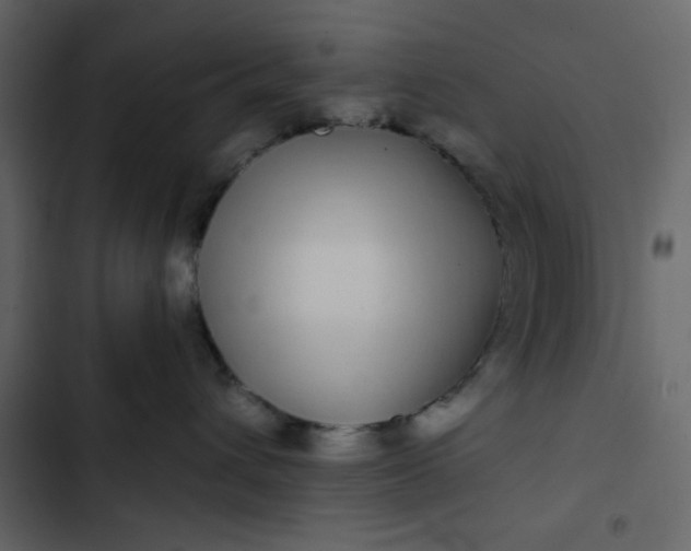 X0000102820432200809021255