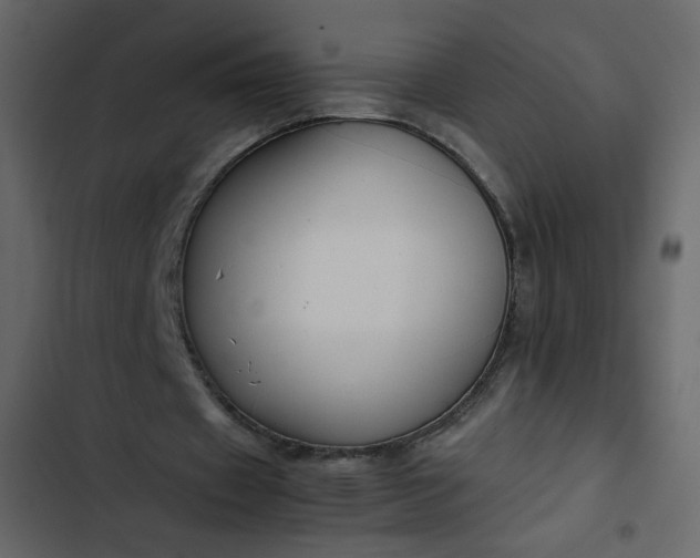 X0000102820433200809021254
