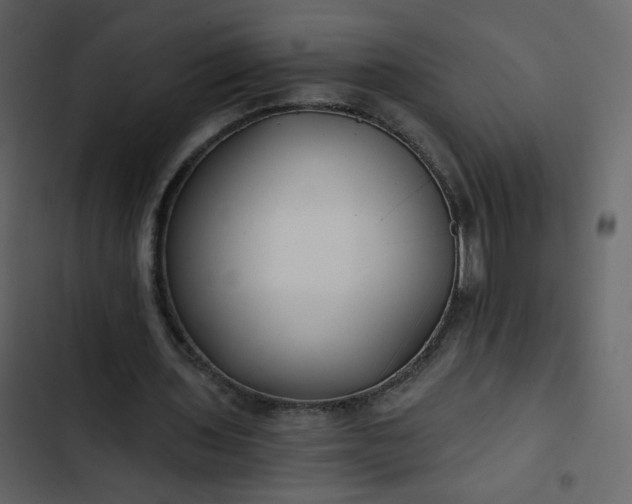 X0000102820435200809021254