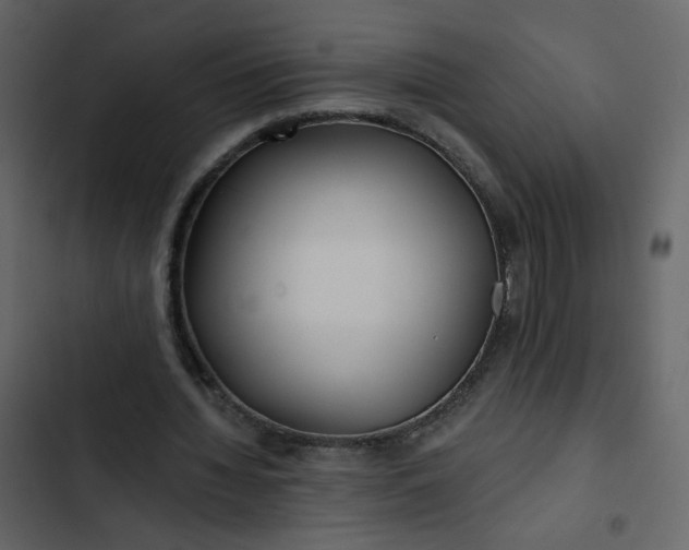 X0000102820436200809021254