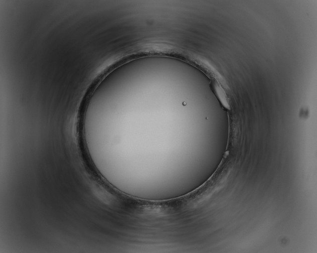 X0000102820439200809021254