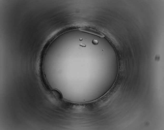 X0000102820440200809021254