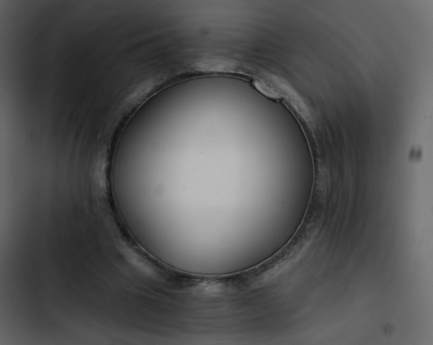 X0000102820441200809021254