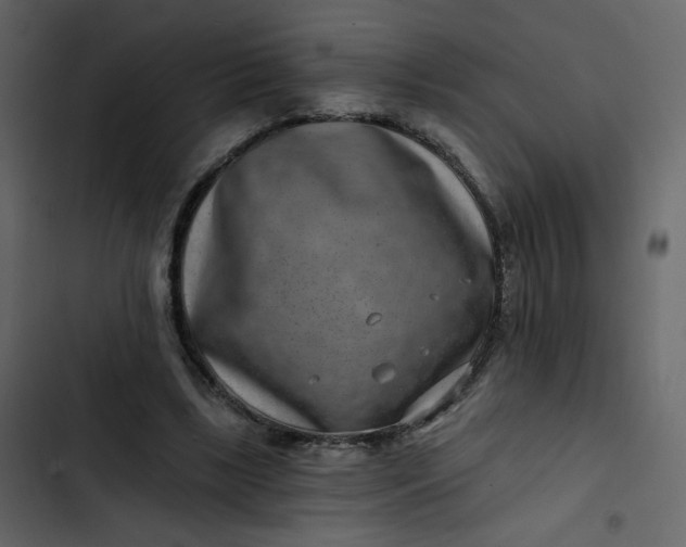 X0000102820443200809021254