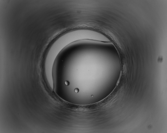X0000102820444200809021254