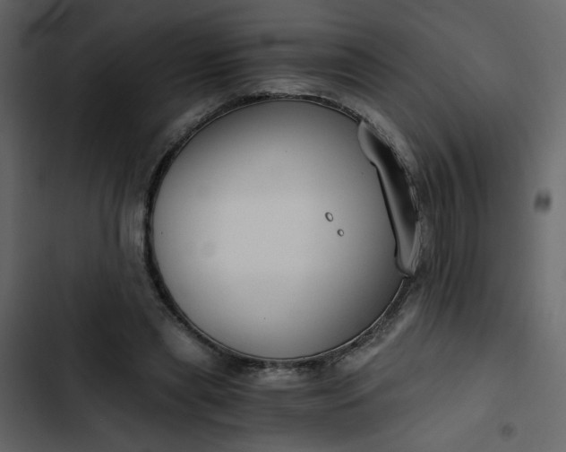 X0000102820445200809021254