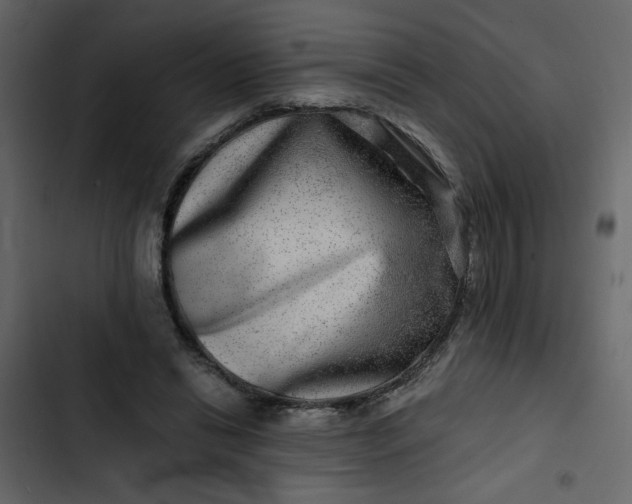 X0000102820446200809021254