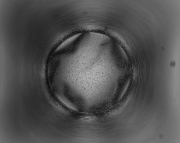 X0000102820447200809021254
