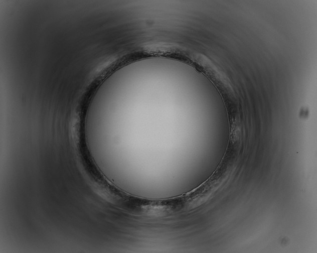 X0000102820448200809021254