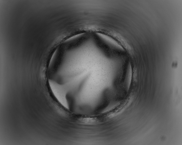 X0000102820449200809021254