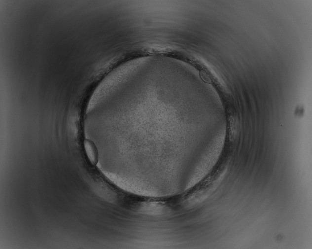 X0000102820451200809021254