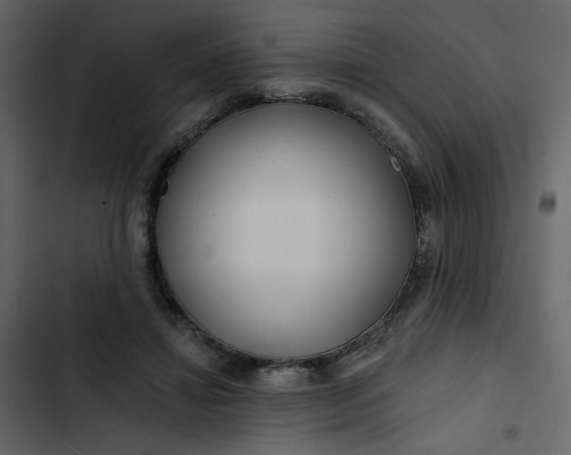 X0000102820452200809021254
