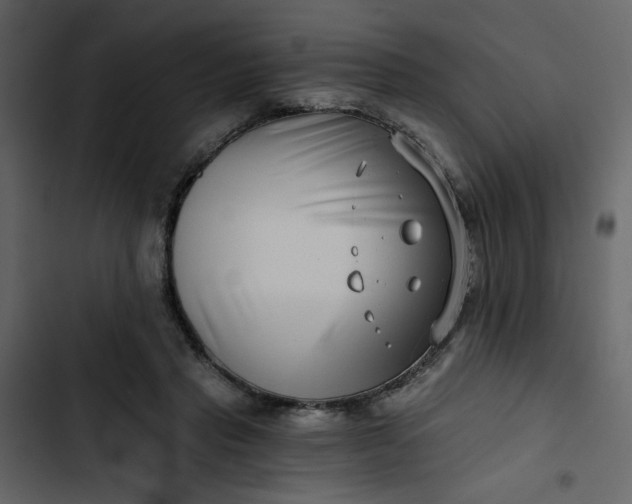 X0000102820453200809021254