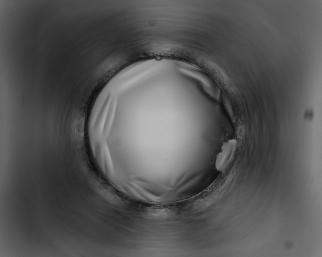 X0000102820454200809021254