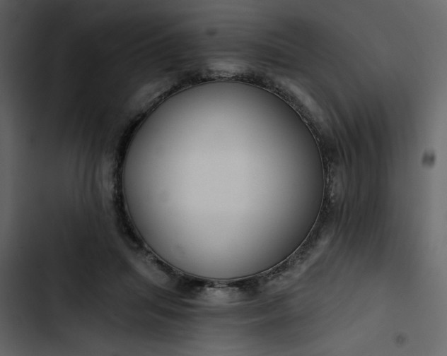X0000102820455200809021254