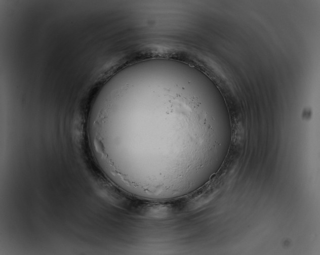 X0000102820456200809021254