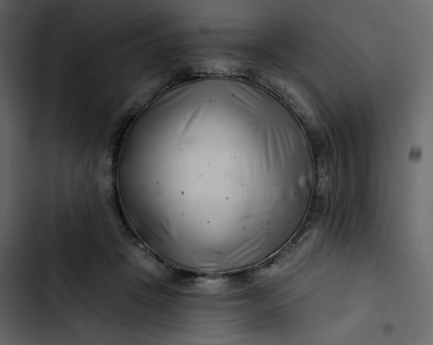 X0000102820457200809021254