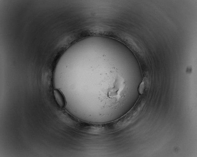 X0000102820458200809021255