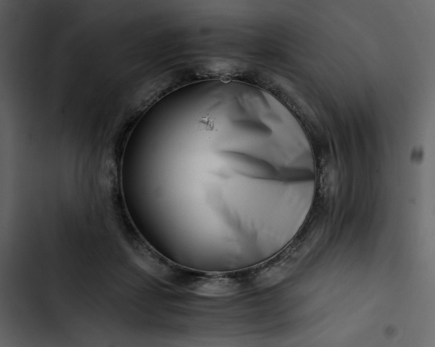 X0000102820459200809021255