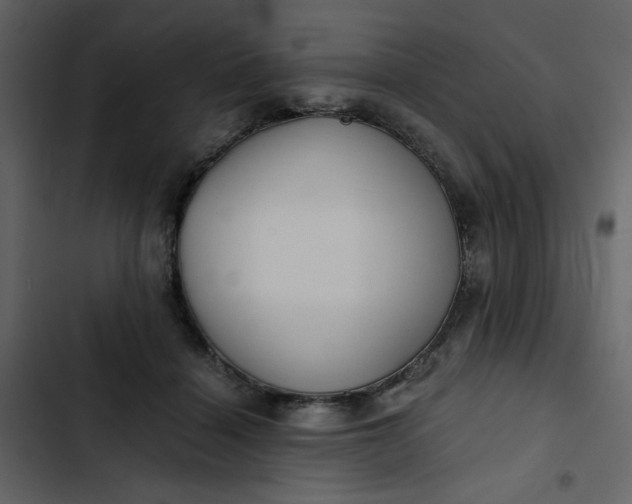 X0000102820460200809021255
