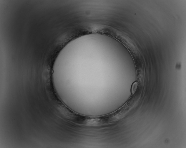 X0000102820461200809021255