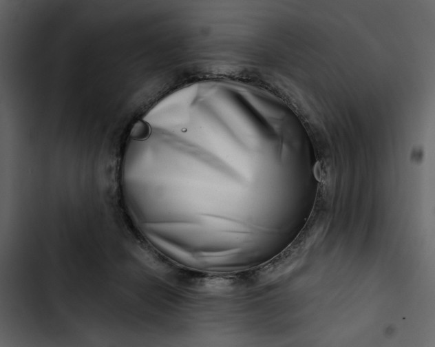 X0000102820462200809021255