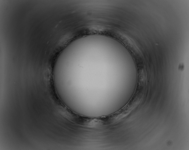 X0000102820463200809021255