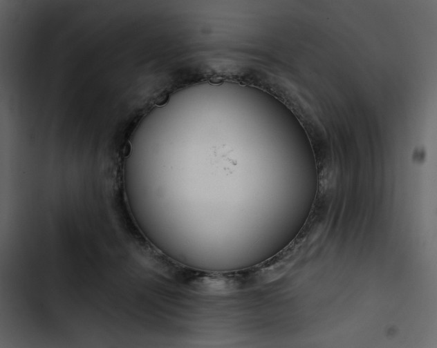 X0000102820464200809021255
