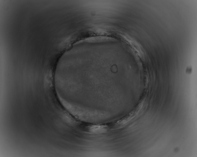 X0000102820465200809021255