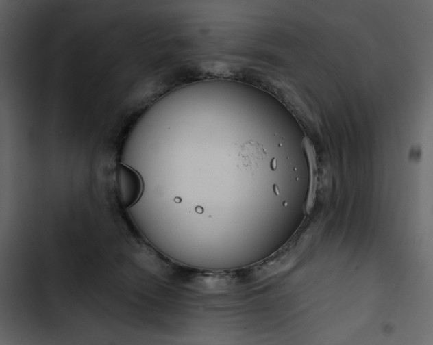 X0000102820466200809021255