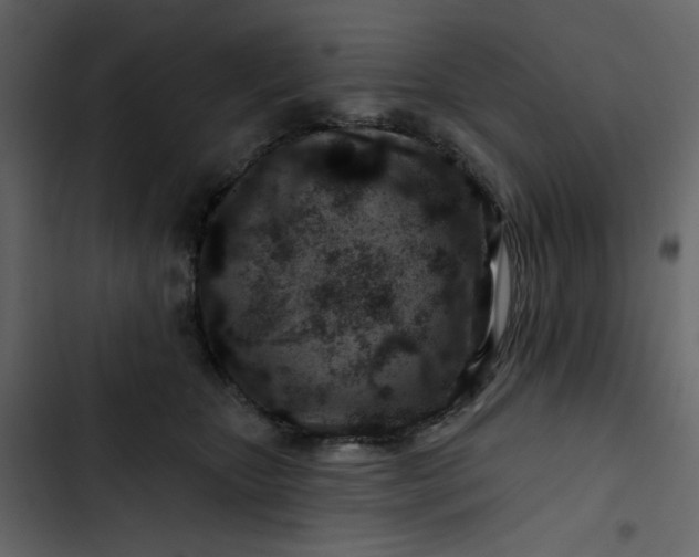 X0000102820467200809021255