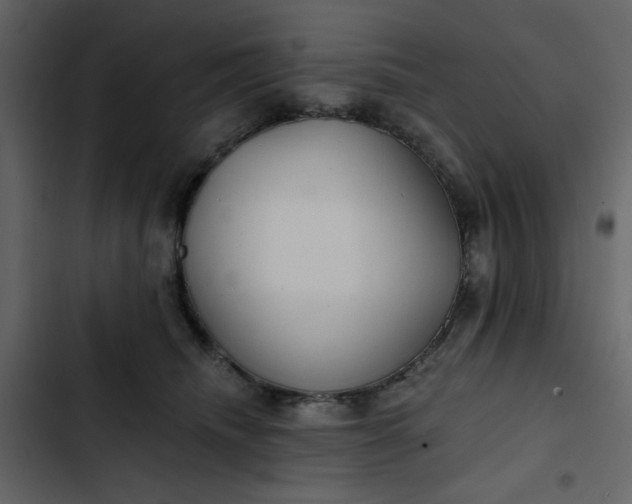 X0000102820468200809021255