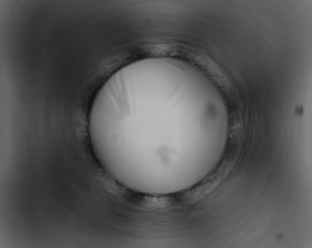 X0000102820469200809021255