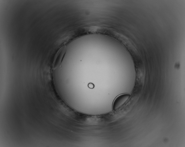 X0000102820470200809021255