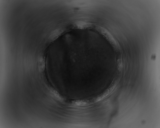 X0000102820471200809021255