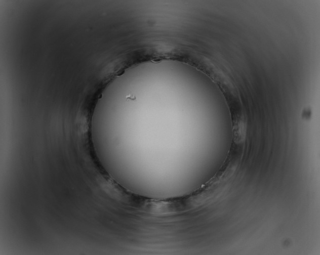 X0000102820472200809021255