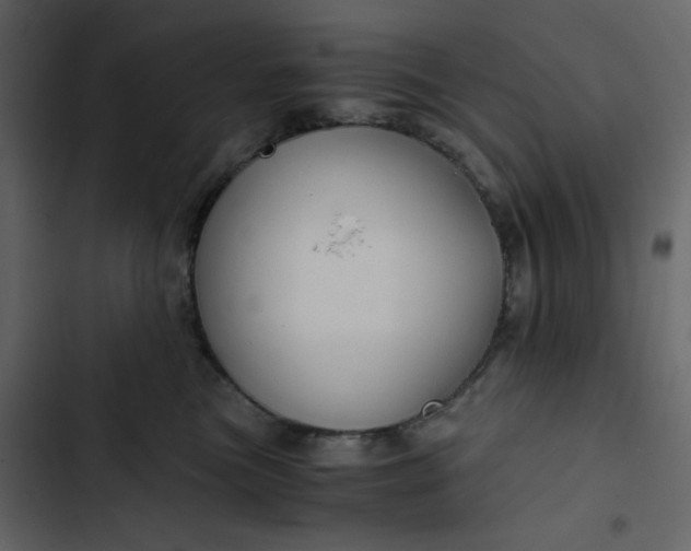 X0000102820473200809021255