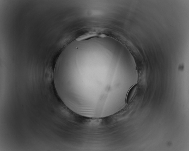 X0000102820474200809021255