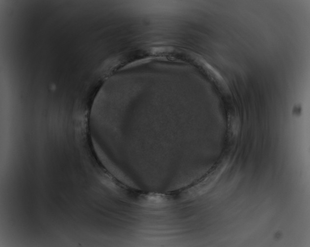 X0000102820475200809021255