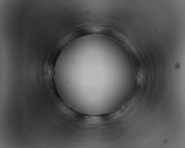 X0000102820476200809021255