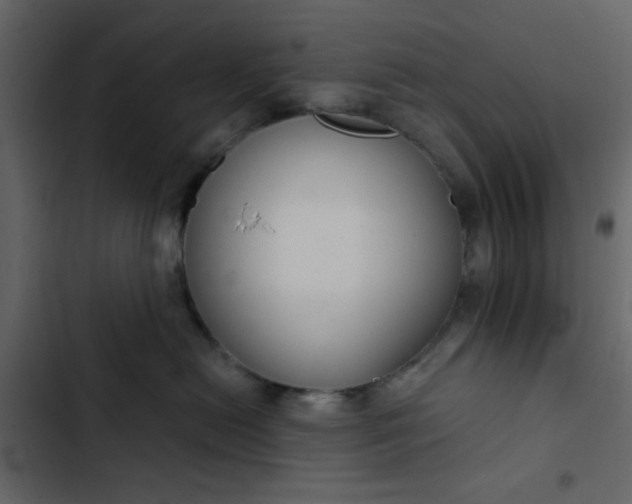 X0000102820478200809021255