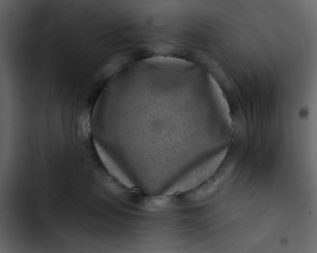 X0000102820479200809021255