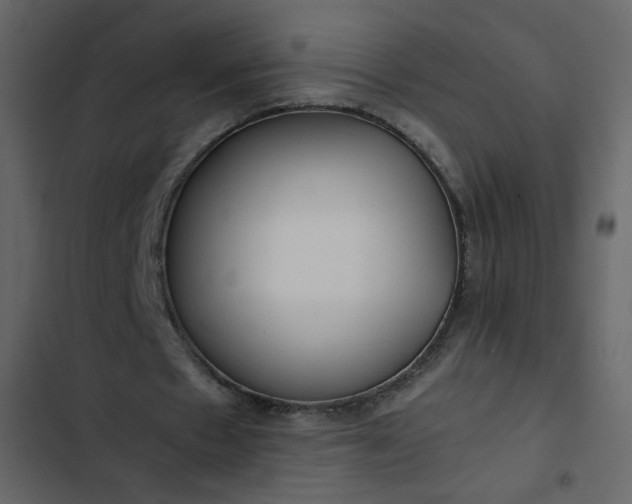 X0000102820481200809021254