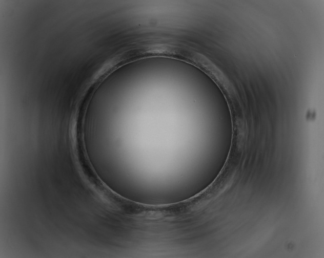 X0000102820482200809021254