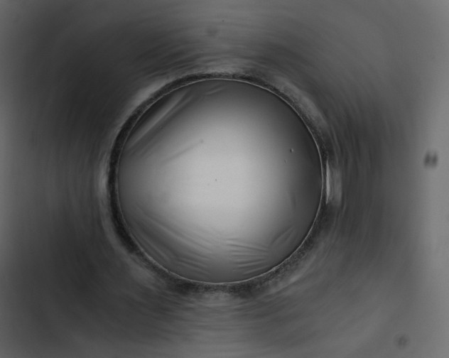 X0000102820483200809021254