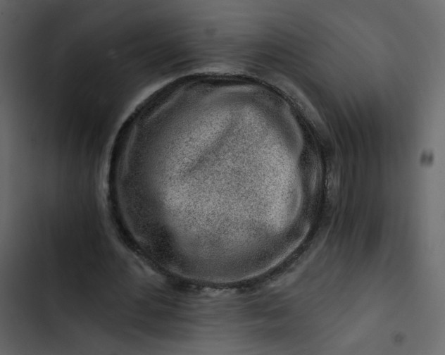 X0000102820484200809021254