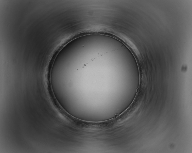 X0000102820485200809021254